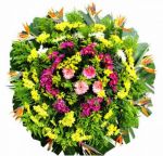 Contagem Mg Flores Contagem Entregas Coroas De Flores Contagem coroas de flores em todos velórios igrejas e cemitérios em Contagem