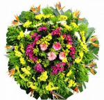 Contagem Mg Flores Contagem Entregas Coroas De Flores Contagem coroas de flores em todos velórios igrejas e cemitérios em Contagem