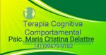 Terapia Cognitiva Comportamental  Curitiba