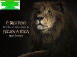 Afronegroconsultoria Goiás