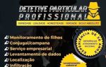 Agência Detetive Particular Virtual 