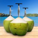 Água de coco e derivados