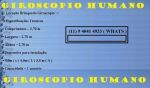 Aluguel Locação Vendas Giroscópio Humano