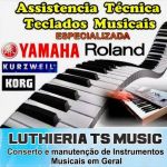 Assistência Técnica de Pianos digitais