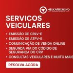 Atenção Proprietário De Veículos No Rio De Janeiro 