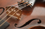 Aulas de Violino Particulares Campinas-sp On