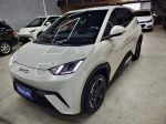 Byd Dolphin Mini 2025 —gs 5 Lugares Tko