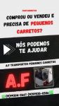 Carreto Pequeno Vila Itapura em Campinas 