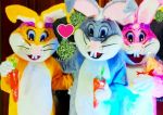 Coelhos da Pascoa personagens vivos animação