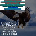 Contador em Rolândia - Imposto de renda 2025 