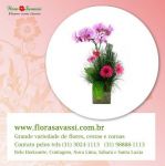 cristiano Otoni Crucilândia Divinópolis Engenheiro Correia Mg Floricultura flora buquês cesta de café arranjos e coroas de flores