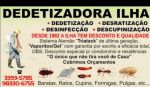 Dedetizadora Ilha do Governador 
