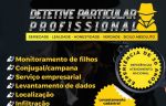Dossiê pessoal pesquisas genealógicas e rastreamento de veículos em todo território nacional 