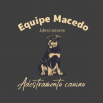 Equipe Macedo adestramento de cães Rj