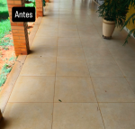 Limpeza Expert - Higienização Profissional