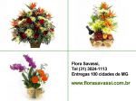 Maternidade Hilda Brandão floricultura flora entrega flores  cesta de flores orquídeas arranjos florais buquês e ramalhetes