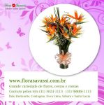 Maternidade Vila da Serra floricultura flora Bh entrega flores cesta de flores  orquídeas arranjos florais buquês