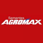 Oferta Exclusiva: Semente de Capim Massai Peletizado 10kg – Rusticidade e Versatilidade Agromax