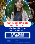 Promoção de fim de ano para Cursos de Idiomas 2025