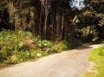 Terreno de 604m2 no condomínio Praia Vermelha em frente ao Sete Praias