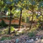 Vendo Terreno Em Jardim Campo Grande-cariacica