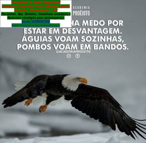 2026 Declaração Anual Mei a partir de r$ 8000 Av Higienopolis 778225