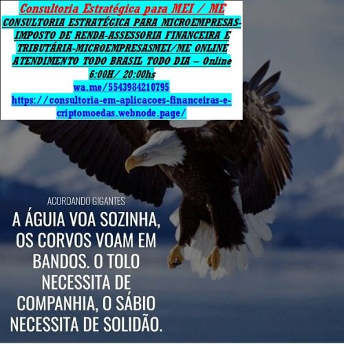 2026 Declaração Anual Mei a partir de r$ 8000 Imposto de renda 2025 778604