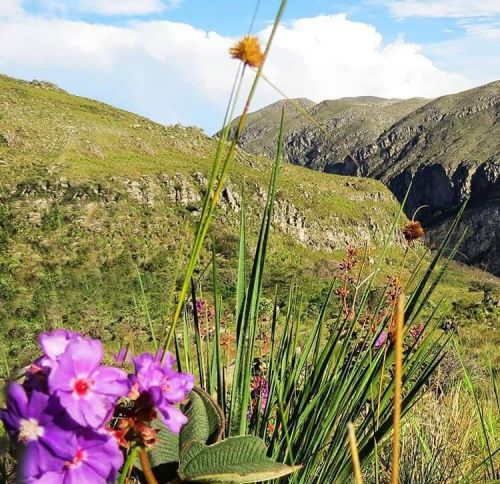 3012 á 0301 Super Réveillon Serra dos Alves e Ipoema  764681