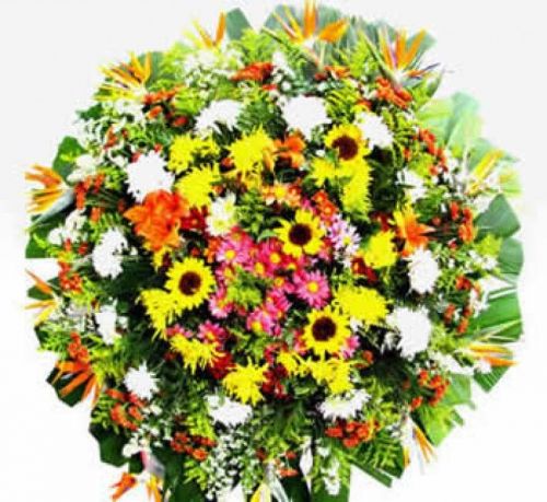 Coroas De Flores Velório Cemitério Consolação Velório Cemitério da Paz Velório Cemitério Bosque da Esperança Em Belo Horizonte Mg 31 3024-1113 39988