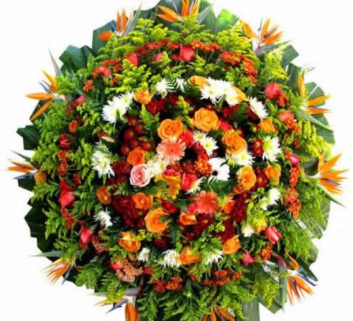Contagem Mg Flores Contagem Entregas Coroas De Flores Contagem coroas de flores em todos velórios igrejas e cemitérios em Contagem 40003
