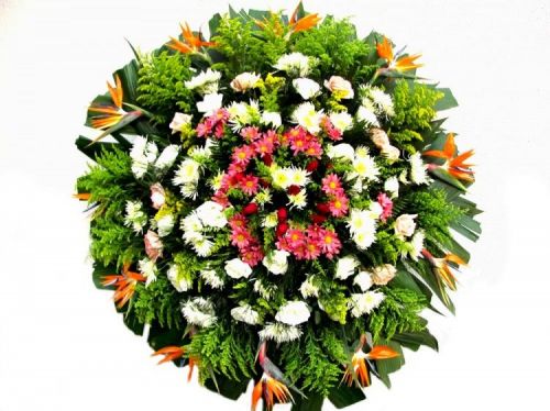 Betim Mg Entregas Coroas De Flores Igrejas velórios e cemitérios em Betim - Floriculturas Flora Flores  Betim Mg 40016
