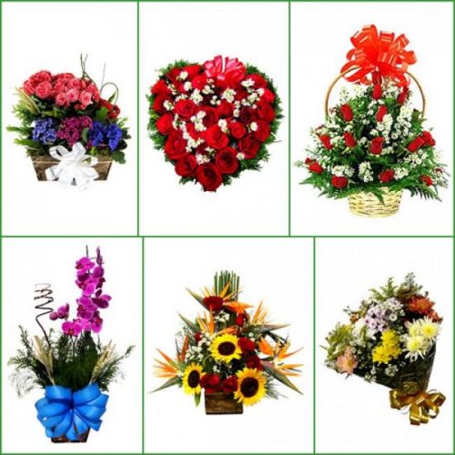 Comprar Flores Online Contagem Comprar Cestas Online Contagem Cesta de casamento  Contagem Entregar Flores Em Contagem Entregar Cestas Em Contagem Delivery De Flores Contagem 40032