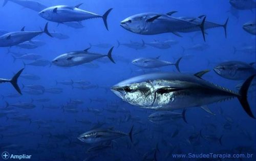 Omega-3 Super – Arctic Sea Fish Oil  Epa  Dha – 60 cápsulas 153092