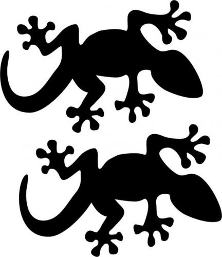 Adesivos Decorativos 776493