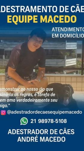 Adestramento de Cães – Transforme Seu Melhor Amigo no Companheiro dos Sonhos  754313