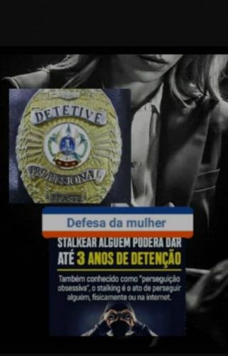 Agência Detetive Particular Virtual  753303