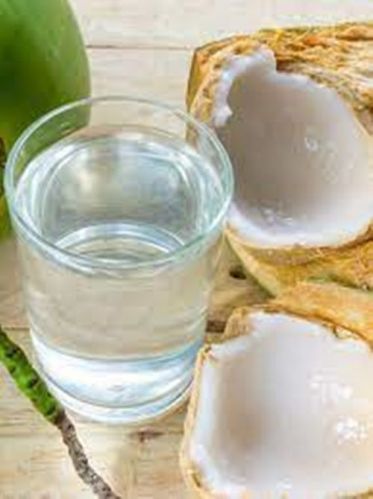Água de coco e derivados 761368
