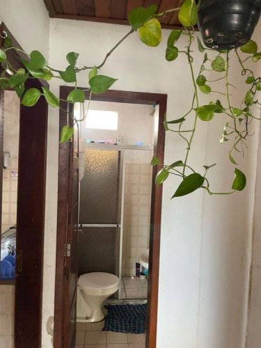 Alugo vagas para estudantes universitários 749335