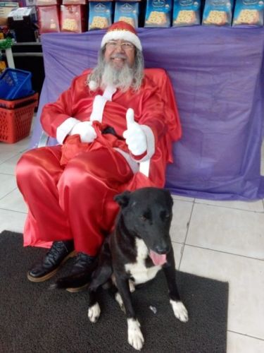 animação porta de loja com papai noel  papai noel na zona oeste  766875