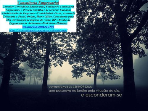 Antonina Escritório Contabilidade e Imposto Renda  773263