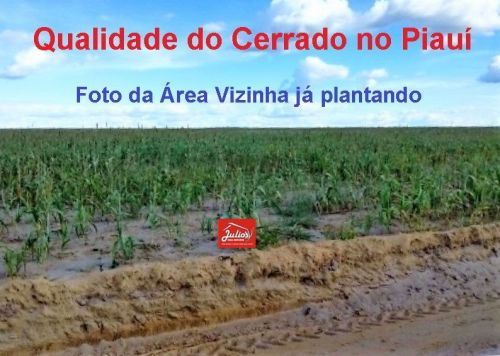 Área bruta a Venda  Plantio de Grãos Em Alvorada Do Gurguéia Piauí 590926