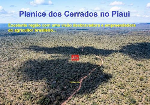 Área bruta a Venda  Plantio de Grãos Em Alvorada Do Gurguéia Piauí 590927