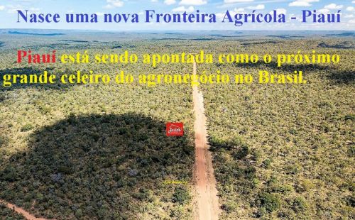 Área bruta a Venda  Plantio de Grãos Em Alvorada Do Gurguéia Piauí 590928