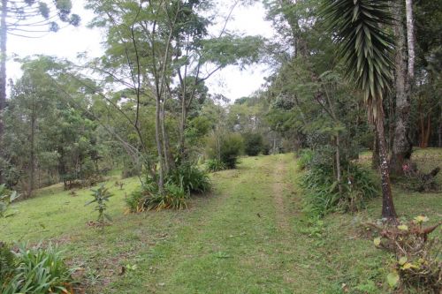 Área urbana 198.350m2 - permitido até 6 pavtos - Av Marcelo Puppi - Campo Largo-pr 757786