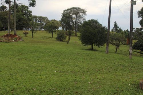 Área urbana 198.350m2 - permitido até 6 pavtos - Av Marcelo Puppi - Campo Largo-pr 757788