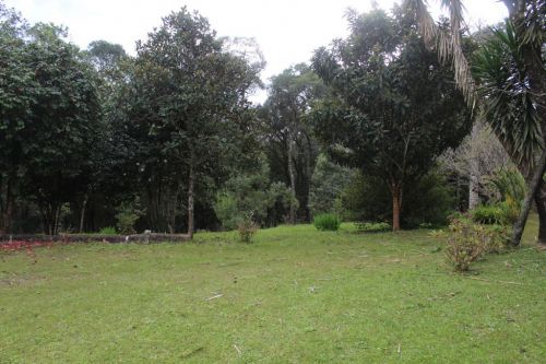 Área urbana 198.350m2 - permitido até 6 pavtos - Av Marcelo Puppi - Campo Largo-pr 757789
