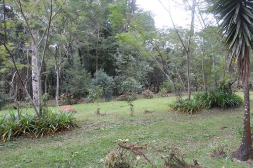 Área urbana 198.350m2 - permitido até 6 pavtos - Av Marcelo Puppi - Campo Largo-pr 757790