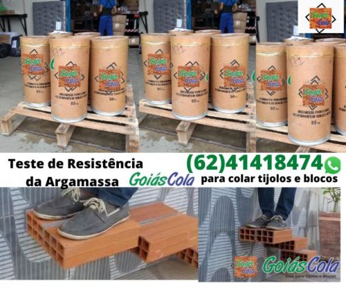 Argamassa Polimérica Goiás Cola 605970