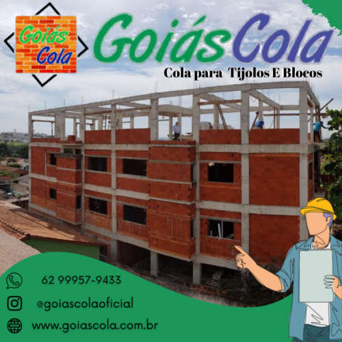 Argamassa polimérica Goiás cola para assentamento de tijolos e blocos 698611