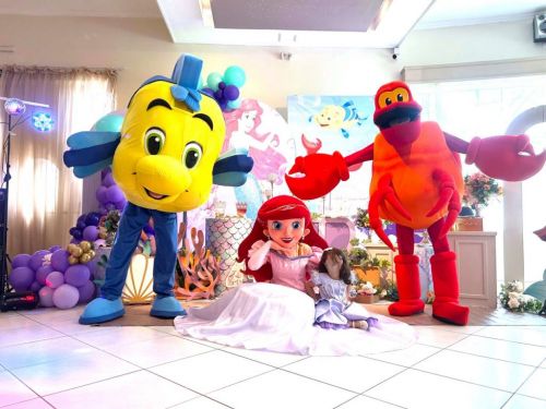 Ariel Princesa personagem vivo cosplay Festa infantil 787194